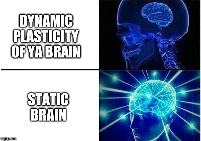 Expanding brain 2-step | DYNAMIC PLASTICITY OF YA BRAIN STATIC BRAIN | image tagged in expanding brain 2-step | made w/ Imgflip meme maker