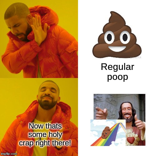 Drake Hotline Bling | Regular poop; Now thats some holy crap right there! | image tagged in memes,drake hotline bling | made w/ Imgflip meme maker