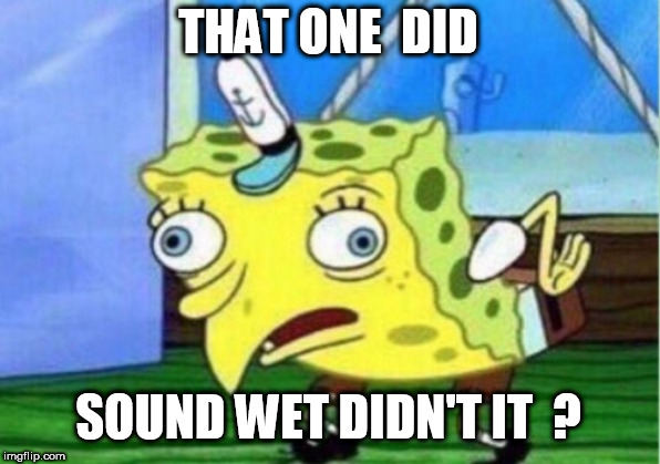 Mocking Spongebob Meme | THAT ONE  DID SOUND WET DIDN'T IT  ? | image tagged in memes,mocking spongebob | made w/ Imgflip meme maker