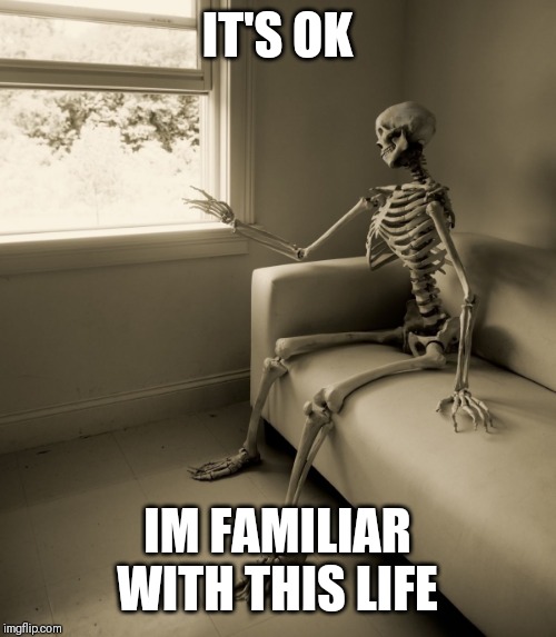 Lonely Skeleton | IT'S OK; IM FAMILIAR WITH THIS LIFE | image tagged in lonely skeleton | made w/ Imgflip meme maker