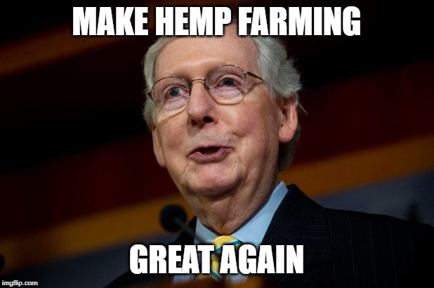 Hemp | MAKE HEMP FARMING; GREAT AGAIN | image tagged in cannabis,farming,farmer,great | made w/ Imgflip meme maker