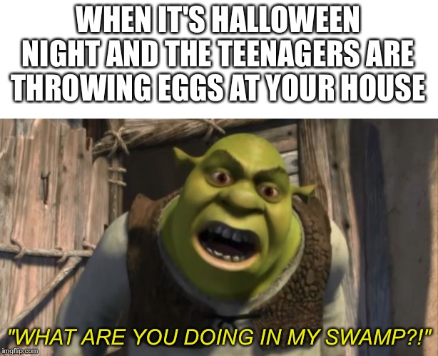 Shrek What are you doing in my swamp? | WHEN IT'S HALLOWEEN NIGHT AND THE TEENAGERS ARE THROWING EGGS AT YOUR HOUSE; "WHAT ARE YOU DOING IN MY SWAMP?!" | image tagged in shrek what are you doing in my swamp,halloween,eggs,house,teenagers,shrek | made w/ Imgflip meme maker