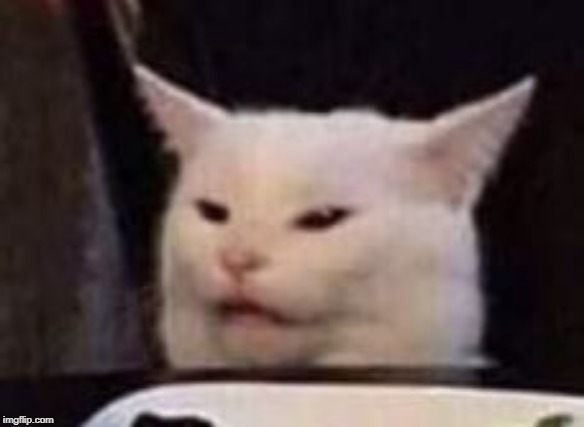 Woman Yelling At Cat Imgflip