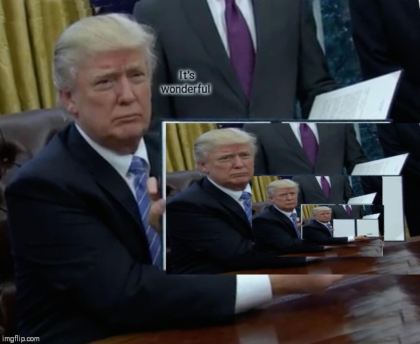 Trump Bill Signing Meme | It's wonderful | image tagged in memes,trump bill signing | made w/ Imgflip meme maker