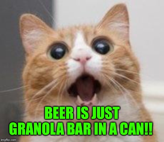 Wow | BEER IS JUST GRANOLA BAR IN A CAN!! | image tagged in wow | made w/ Imgflip meme maker