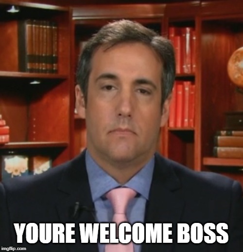 Michael Cohen | YOURE WELCOME BOSS | image tagged in michael cohen | made w/ Imgflip meme maker