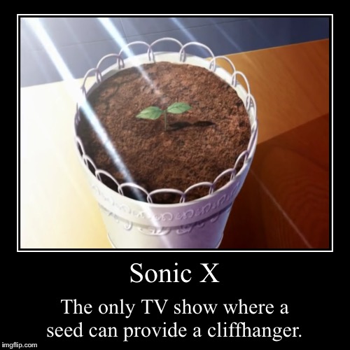 It’s been 13 years TMS Entertainment, where’s our answer to this seed! | image tagged in funny,demotivationals,sonic x | made w/ Imgflip demotivational maker