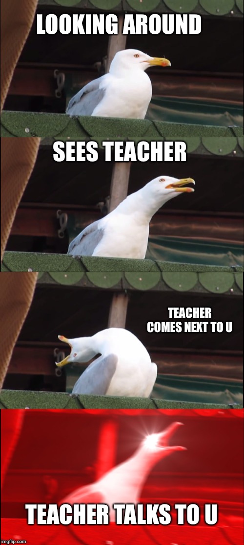 Inhaling Seagull | LOOKING AROUND; SEES TEACHER; TEACHER COMES NEXT TO U; TEACHER TALKS TO U | image tagged in memes,inhaling seagull | made w/ Imgflip meme maker