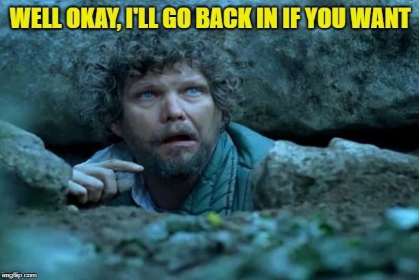 Under a Rock | WELL OKAY, I'LL GO BACK IN IF YOU WANT | image tagged in under a rock | made w/ Imgflip meme maker