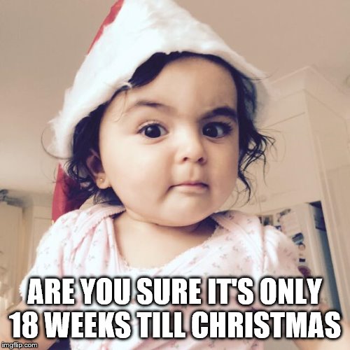 ARE YOU SURE IT'S ONLY 18 WEEKS TILL CHRISTMAS | ARE YOU SURE IT'S ONLY 18 WEEKS TILL CHRISTMAS | image tagged in christmas | made w/ Imgflip meme maker