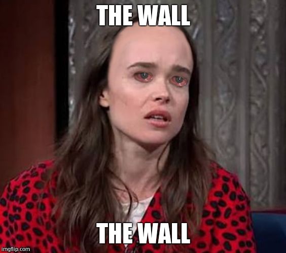 Damn you Pence! The wall's your fault | THE WALL; THE WALL | image tagged in page's landing strip,the wall,a series of unfortunate events,mike pence,time | made w/ Imgflip meme maker