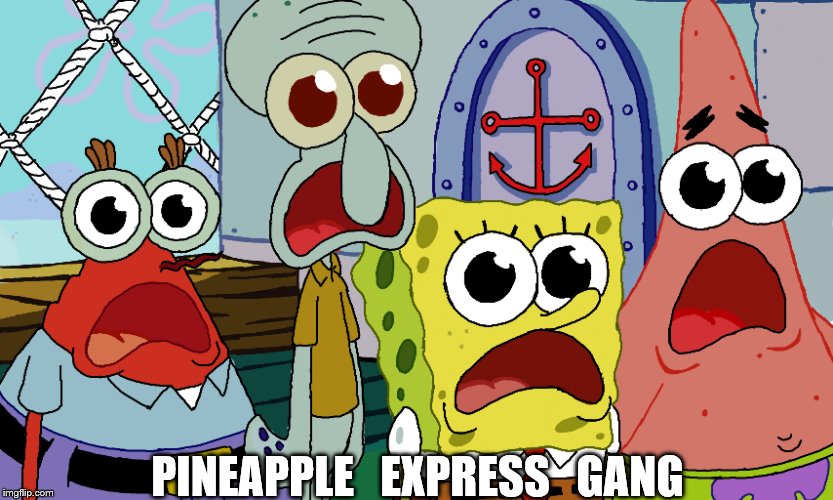 PINEAPPLE   EXPRESS   GANG | image tagged in memes | made w/ Imgflip meme maker