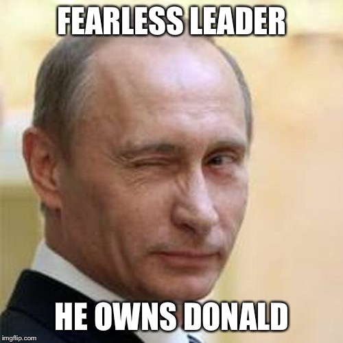 Putin Winking | FEARLESS LEADER HE OWNS DONALD | image tagged in putin winking | made w/ Imgflip meme maker