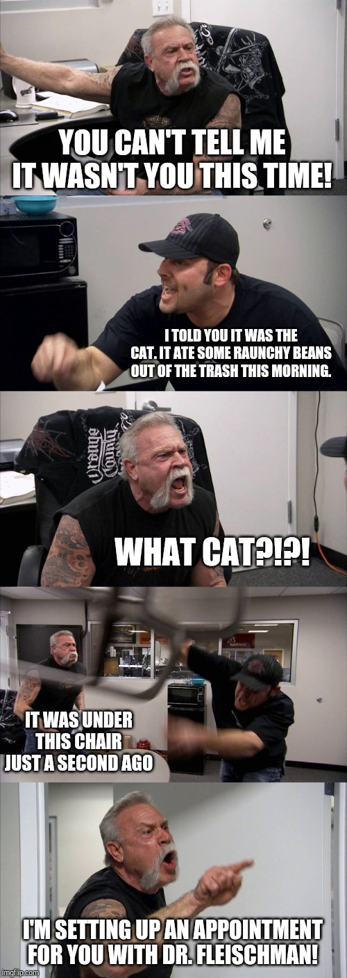 American Chopper Argument | YOU CAN'T TELL ME IT WASN'T YOU THIS TIME! I TOLD YOU IT WAS THE CAT. IT ATE SOME RAUNCHY BEANS OUT OF THE TRASH THIS MORNING. WHAT CAT?!?! IT WAS UNDER THIS CHAIR JUST A SECOND AGO; I'M SETTING UP AN APPOINTMENT FOR YOU WITH DR. FLEISCHMAN! | image tagged in memes,american chopper argument | made w/ Imgflip meme maker