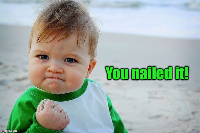 Success Kid / Nailed It Kid | You nailed it! | image tagged in success kid / nailed it kid | made w/ Imgflip meme maker