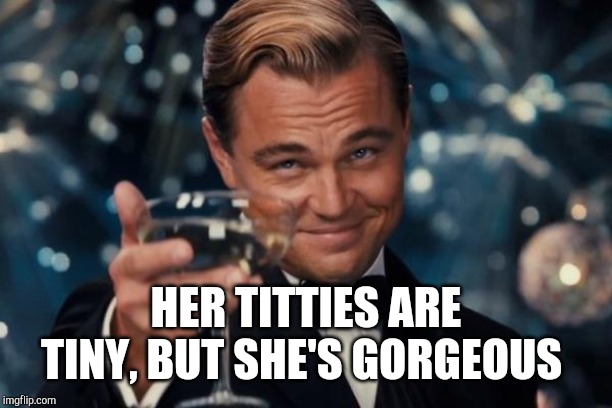 Leonardo Dicaprio Cheers Meme | HER TITTIES ARE TINY, BUT SHE'S GORGEOUS | image tagged in memes,leonardo dicaprio cheers | made w/ Imgflip meme maker