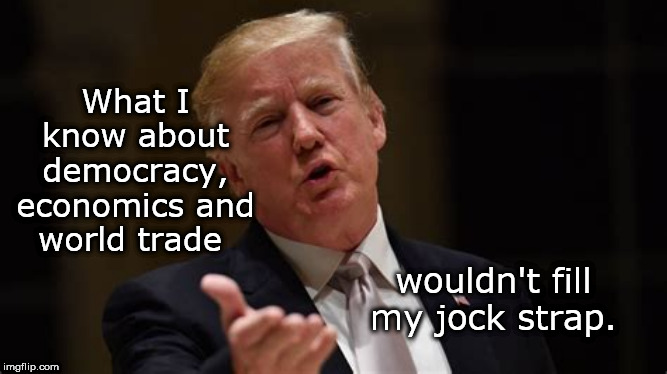 What I know about democracy, economics and world trade; wouldn't fill my jock strap. | image tagged in donald trump is an idiot,donald trump small brain,donald trump | made w/ Imgflip meme maker
