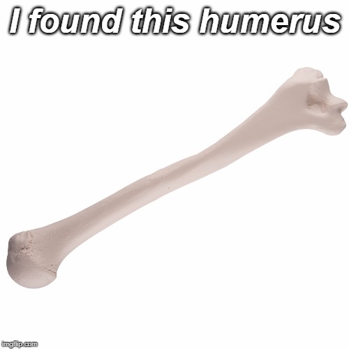 I found this humerus | image tagged in funny memes,bad pun,dad joke | made w/ Imgflip meme maker