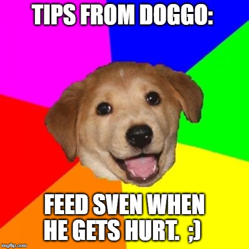 Advice Dog Meme | TIPS FROM DOGGO:; FEED SVEN WHEN HE GETS HURT.  ;) | image tagged in memes,advice dog | made w/ Imgflip meme maker