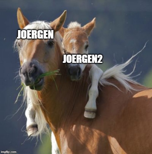 Foal Of Mine | JOERGEN; JOERGEN2 | image tagged in memes,foal of mine | made w/ Imgflip meme maker