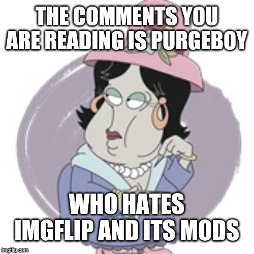 THE COMMENTS YOU ARE READING IS PURGEBOY WHO HATES IMGFLIP AND ITS MODS | made w/ Imgflip meme maker