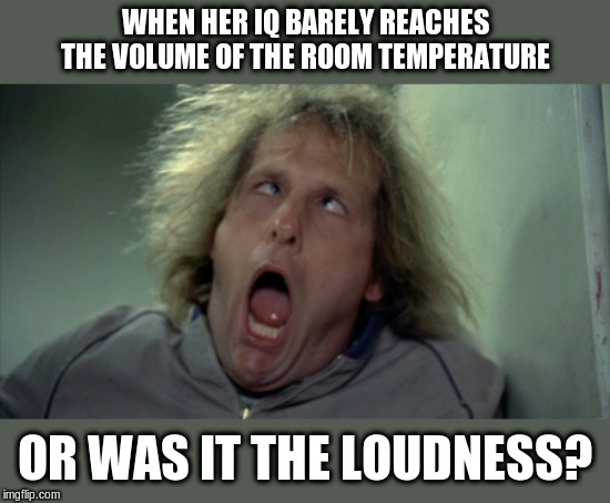 Scary Harry Meme | WHEN HER IQ BARELY REACHES THE VOLUME OF THE ROOM TEMPERATURE OR WAS IT THE LOUDNESS? | image tagged in memes,scary harry | made w/ Imgflip meme maker