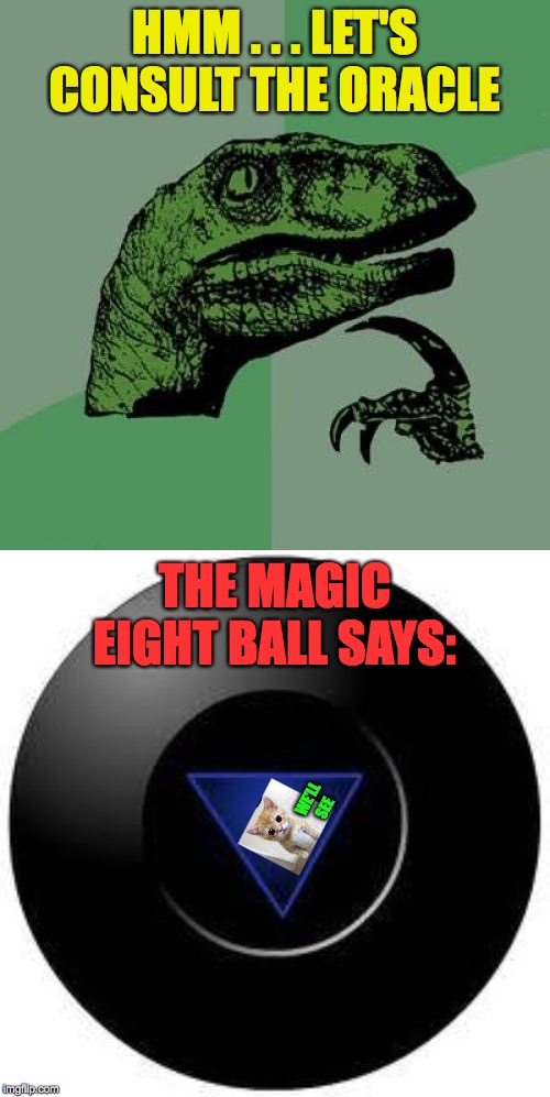 HMM . . . LET'S CONSULT THE ORACLE WE'LL SEE THE MAGIC EIGHT BALL SAYS: | image tagged in memes,philosoraptor,magic 8 ball | made w/ Imgflip meme maker
