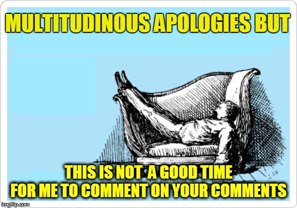 MULTITUDINOUS APOLOGIES BUT THIS IS NOT  A GOOD TIME FOR ME TO COMMENT ON YOUR COMMENTS | made w/ Imgflip meme maker