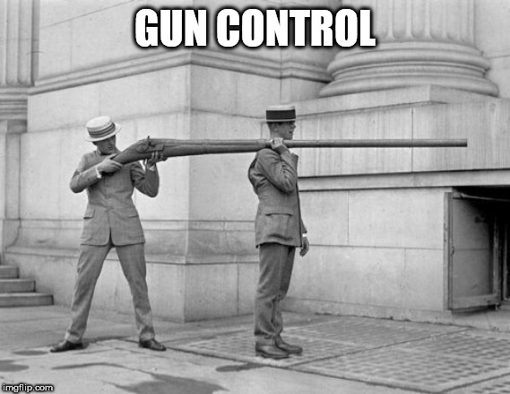 gun | GUN CONTROL | image tagged in gun | made w/ Imgflip meme maker
