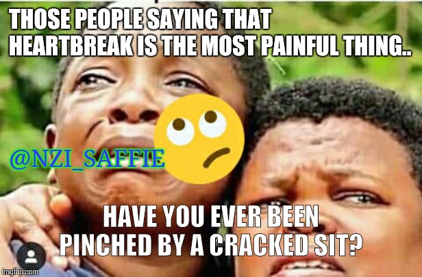 @NZI_SAFFIE | THOSE PEOPLE SAYING THAT HEARTBREAK IS THE MOST PAINFUL THING.. @NZI_SAFFIE; HAVE YOU EVER BEEN PINCHED BY A CRACKED SIT? | image tagged in pie charts,funny memes,the most interesting man in the world,joke | made w/ Imgflip meme maker