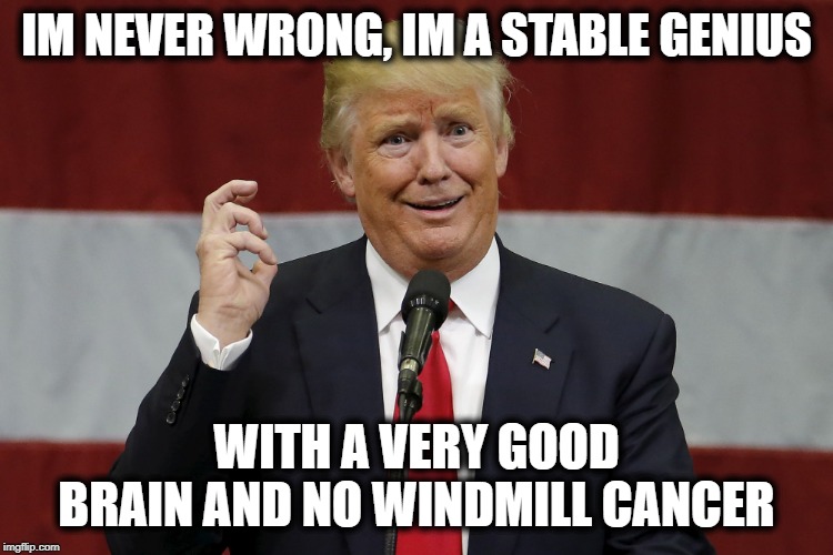 twat trumo | IM NEVER WRONG, IM A STABLE GENIUS WITH A VERY GOOD BRAIN AND NO WINDMILL CANCER | image tagged in twat trumo | made w/ Imgflip meme maker