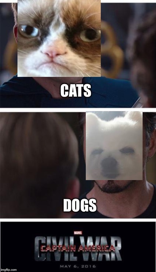 Marvel Civil War 1 Meme | CATS; DOGS | image tagged in memes,marvel civil war 1 | made w/ Imgflip meme maker