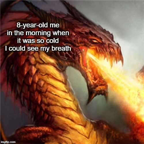 8-year-old me in the morning when it was so cold I could see my breath | image tagged in dragon | made w/ Imgflip meme maker