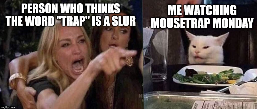 What's Wrong With The Word "Trap?" | ME WATCHING MOUSETRAP MONDAY; PERSON WHO THINKS THE WORD "TRAP" IS A SLUR | image tagged in woman yelling at cat,mouse trap,mousetrap monday,trap,traps,youtube | made w/ Imgflip meme maker