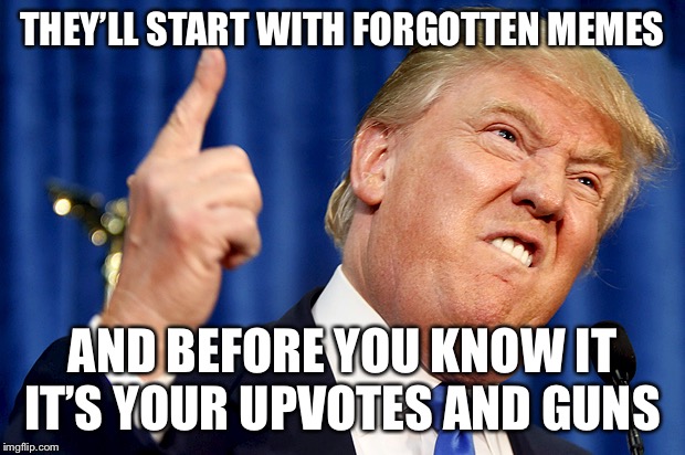 Donald Trump | THEY’LL START WITH FORGOTTEN MEMES AND BEFORE YOU KNOW IT IT’S YOUR UPVOTES AND GUNS | image tagged in donald trump | made w/ Imgflip meme maker