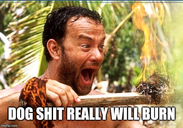 Castaway Fire | DOG SHIT REALLY WILL BURN | image tagged in memes,castaway fire | made w/ Imgflip meme maker
