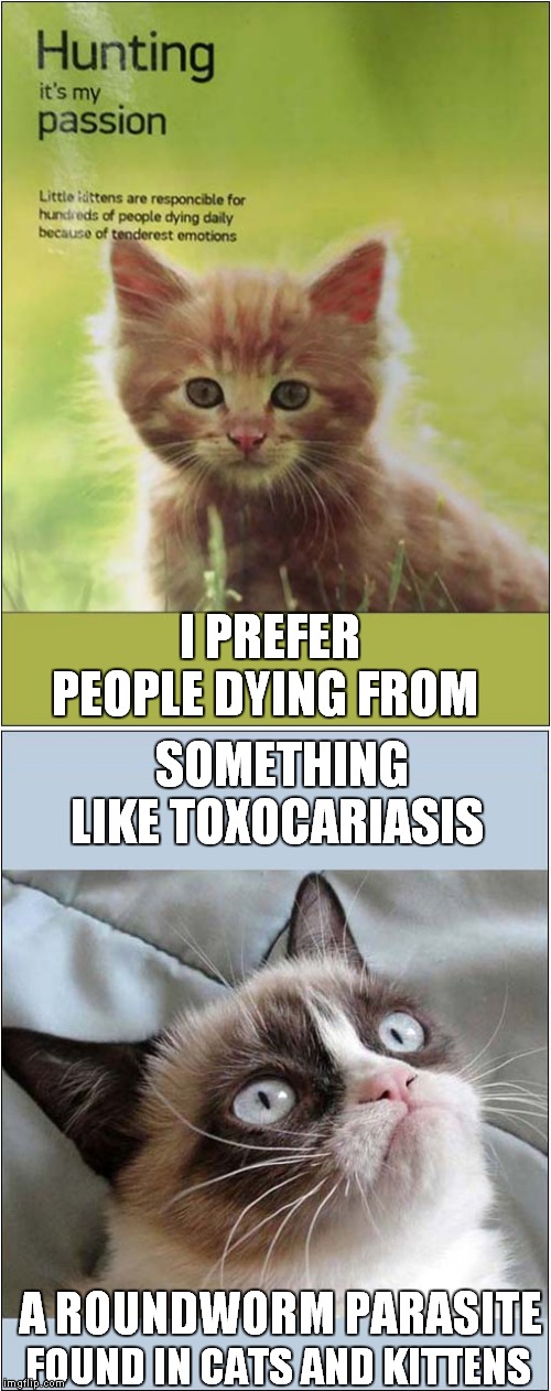 Grumpys Hope For The Masses | I PREFER PEOPLE DYING FROM; SOMETHING LIKE TOXOCARIASIS; A ROUNDWORM PARASITE; FOUND IN CATS AND KITTENS | image tagged in cats,grumpy cat | made w/ Imgflip meme maker