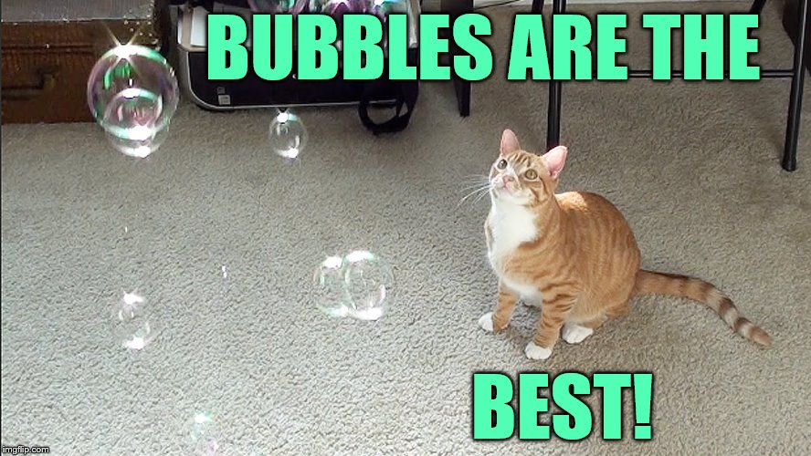 BUBBLES ARE THE BEST! | made w/ Imgflip meme maker