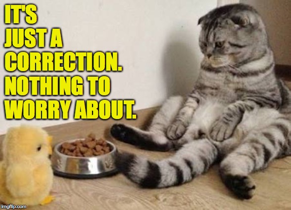 Crazy Animals | IT'S JUST A CORRECTION.  NOTHING TO WORRY ABOUT. | image tagged in crazy animals,memes,trump,stock market | made w/ Imgflip meme maker