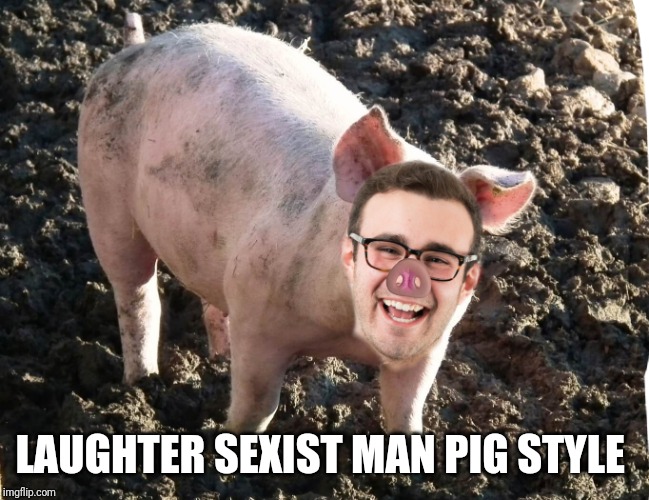Sexist man pig | LAUGHTER SEXIST MAN PIG STYLE | image tagged in sexist man pig | made w/ Imgflip meme maker