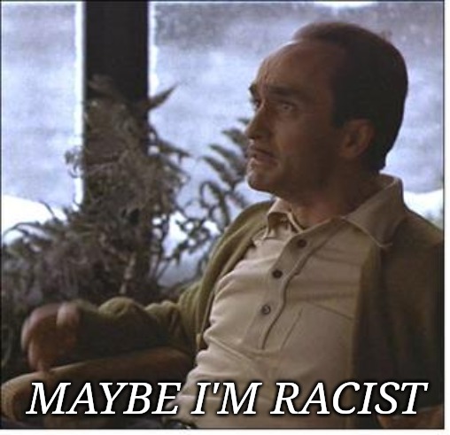 fredo | MAYBE I'M RACIST | image tagged in fredo | made w/ Imgflip meme maker