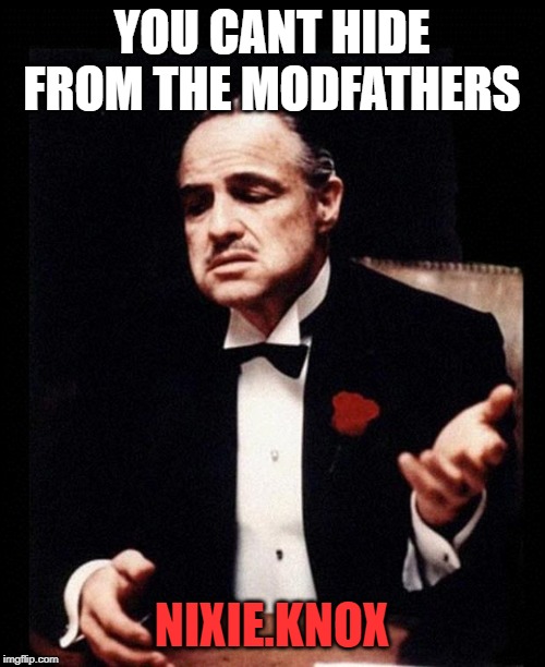 godfather | YOU CANT HIDE FROM THE MODFATHERS NIXIE.KNOX | image tagged in godfather | made w/ Imgflip meme maker