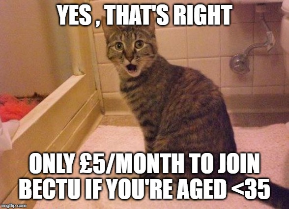 surprised and amazed cat | YES , THAT'S RIGHT; ONLY £5/MONTH TO JOIN BECTU IF YOU'RE AGED <35 | image tagged in surprised and amazed cat | made w/ Imgflip meme maker