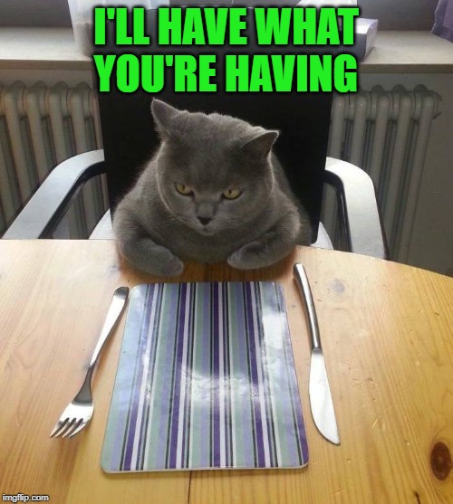 hungry cat | I'LL HAVE WHAT YOU'RE HAVING | image tagged in hungry cat | made w/ Imgflip meme maker