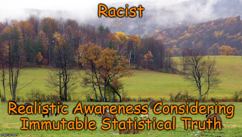 Truth | Racist; Realistic Awareness Considering Immutable Statistical Truth | image tagged in politically incorrect,fact,logic | made w/ Imgflip meme maker