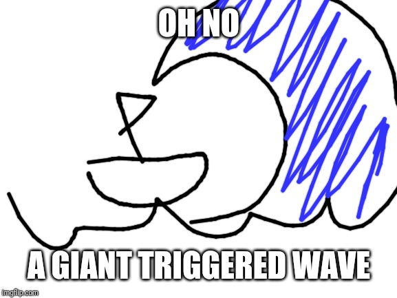 Blank White Template | OH NO A GIANT TRIGGERED WAVE | image tagged in blank white template | made w/ Imgflip meme maker