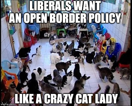 "It's just obvious you can't have free immigration and a welfare state," - Milton Friedman | LIBERALS WANT AN OPEN BORDER POLICY; LIKE A CRAZY CAT LADY | image tagged in crazy cat lady,open borders,illegal immigration,secure the border | made w/ Imgflip meme maker