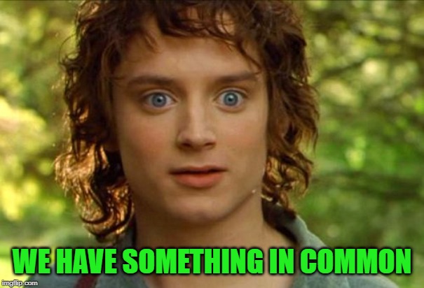 Surpised Frodo Meme | WE HAVE SOMETHING IN COMMON | image tagged in memes,surpised frodo | made w/ Imgflip meme maker