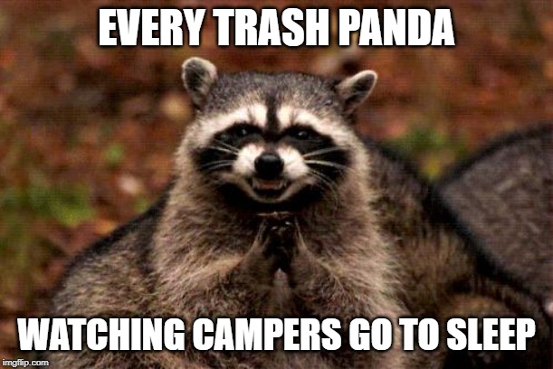 Evil Plotting Raccoon | EVERY TRASH PANDA; WATCHING CAMPERS GO TO SLEEP | image tagged in memes,evil plotting raccoon | made w/ Imgflip meme maker