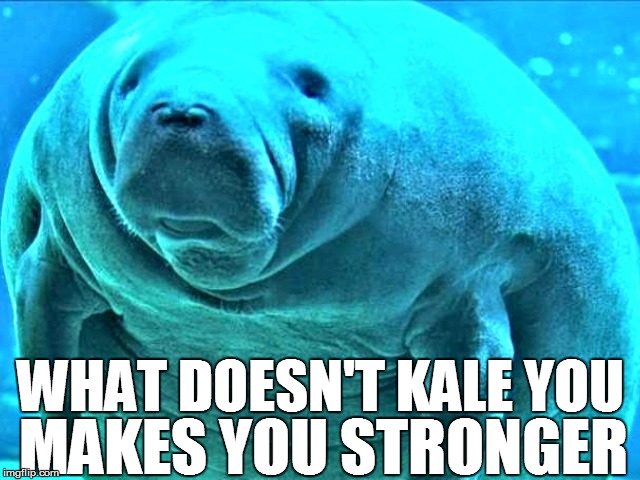 WHAT DOESN'T KALE YOU MAKES YOU STRONGER | made w/ Imgflip meme maker